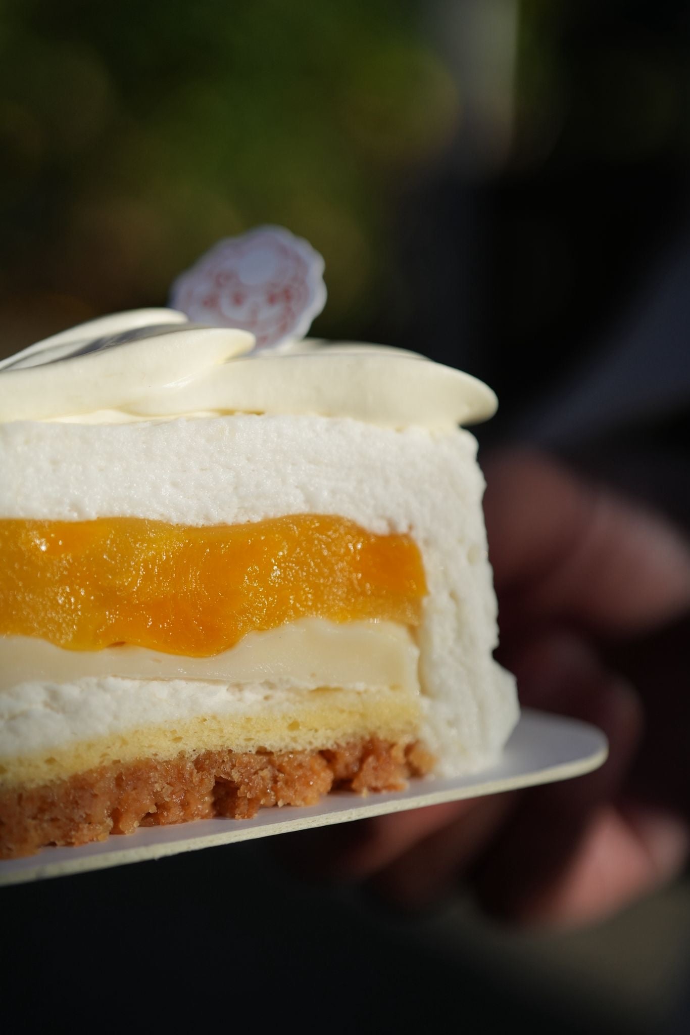 Mango Mochi Coconut cake